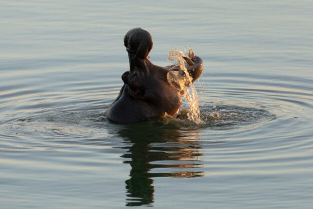journée5 - HWANGE - BEITBRIDGE