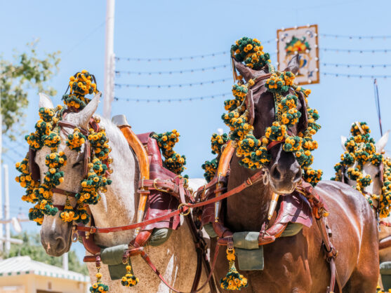 journée7 - Seville - La Feria