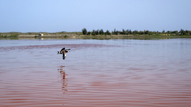 journée3 - DAKAR - LAC ROSE - KAYAR - LOMPOUL