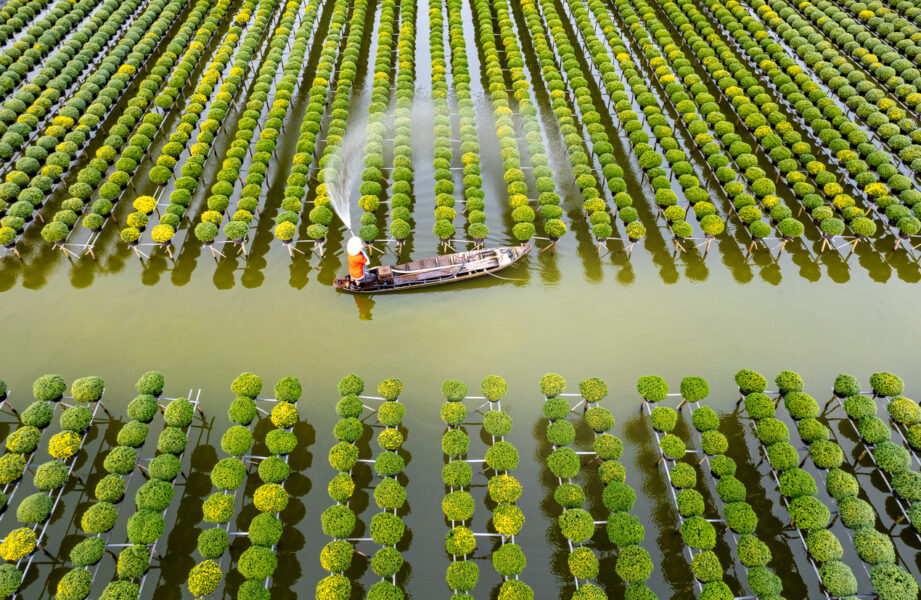 Des temples d'Angkor au delta du Mékong
