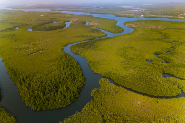 journée7 - BROUSSE, ÎLES ET BOLONGS DU SALOUM