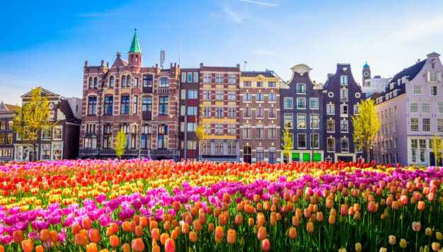 journée4 - Amsterdam (ou environs)