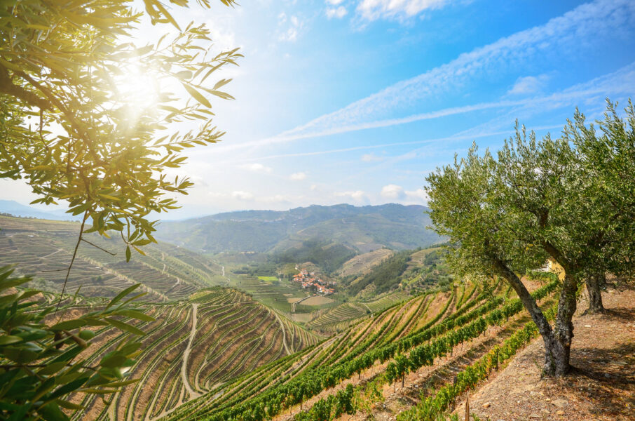 De Porto vers l'Espagne, la vallée du Douro