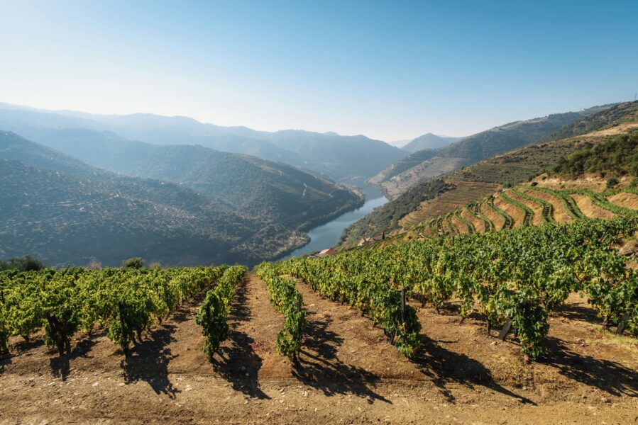 De Porto vers l'Espagne, la vallée du Douro et Salamanque