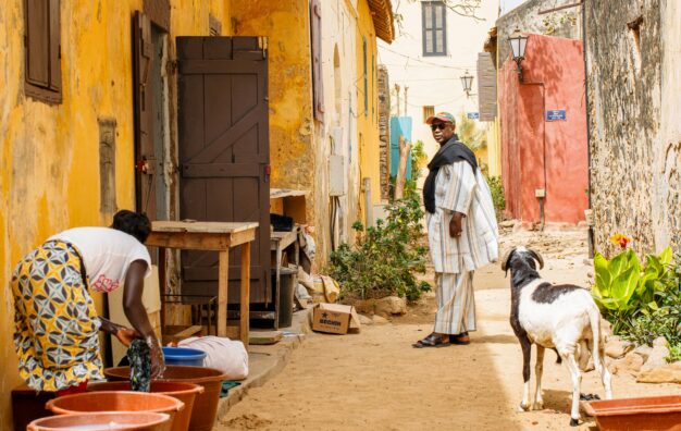 journée9 - Dakar - Gorée > Bruxelles