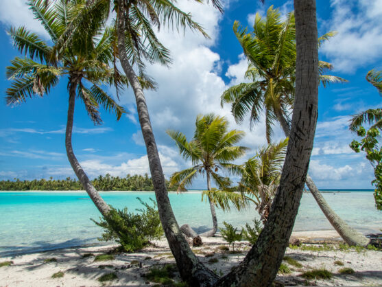 journée13 - RANGIROA