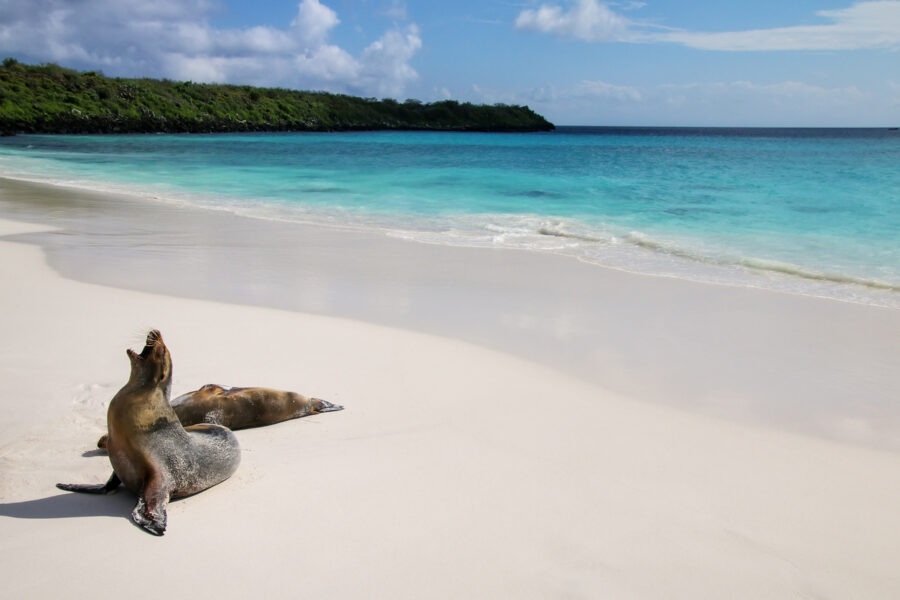 Equateur & Galapagos, terres de découvertes